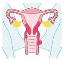 イラスト：二期